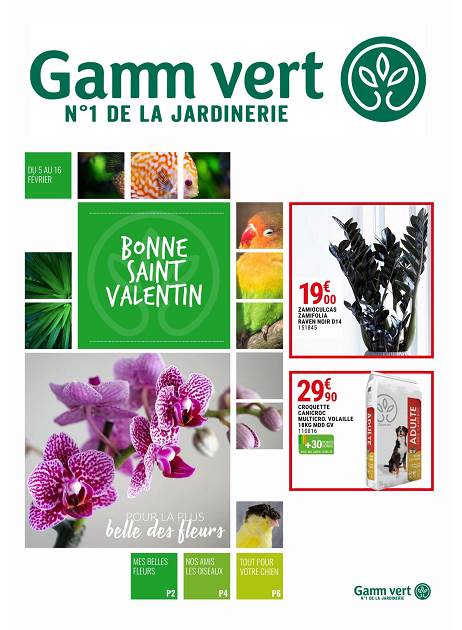 LAPUB.RE - HORAIRES - PROMOS - PROSPECTUS DE GAMM VERT SAINT PIERRE ...