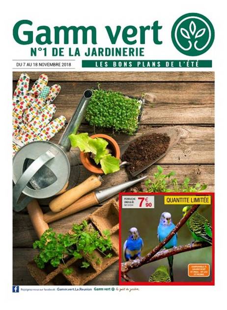 HORAIRES - PROMOS - PROSPECTUS DE GAMM VERT SAINT PIERRE - REUNION - 974